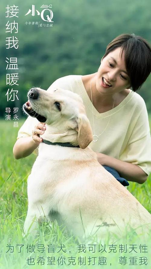 湖南工商大学自考学位证
